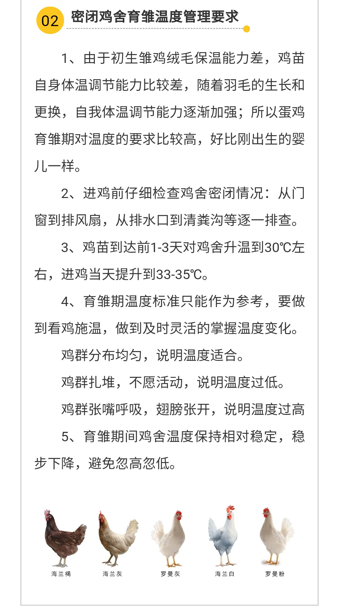 澳门十大电子游戏入口网站