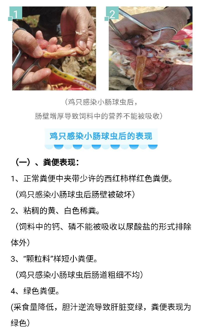 澳门十大电子游戏入口网站