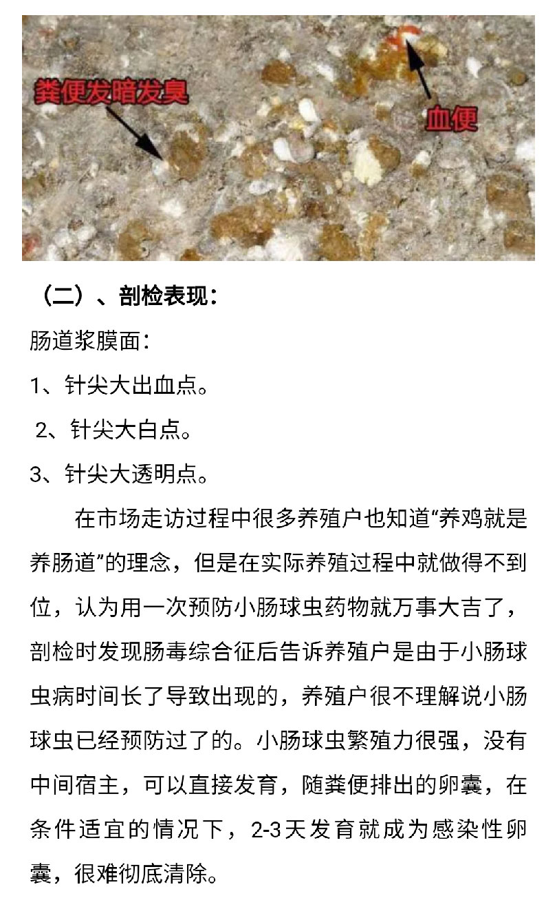 澳门十大电子游戏入口网站