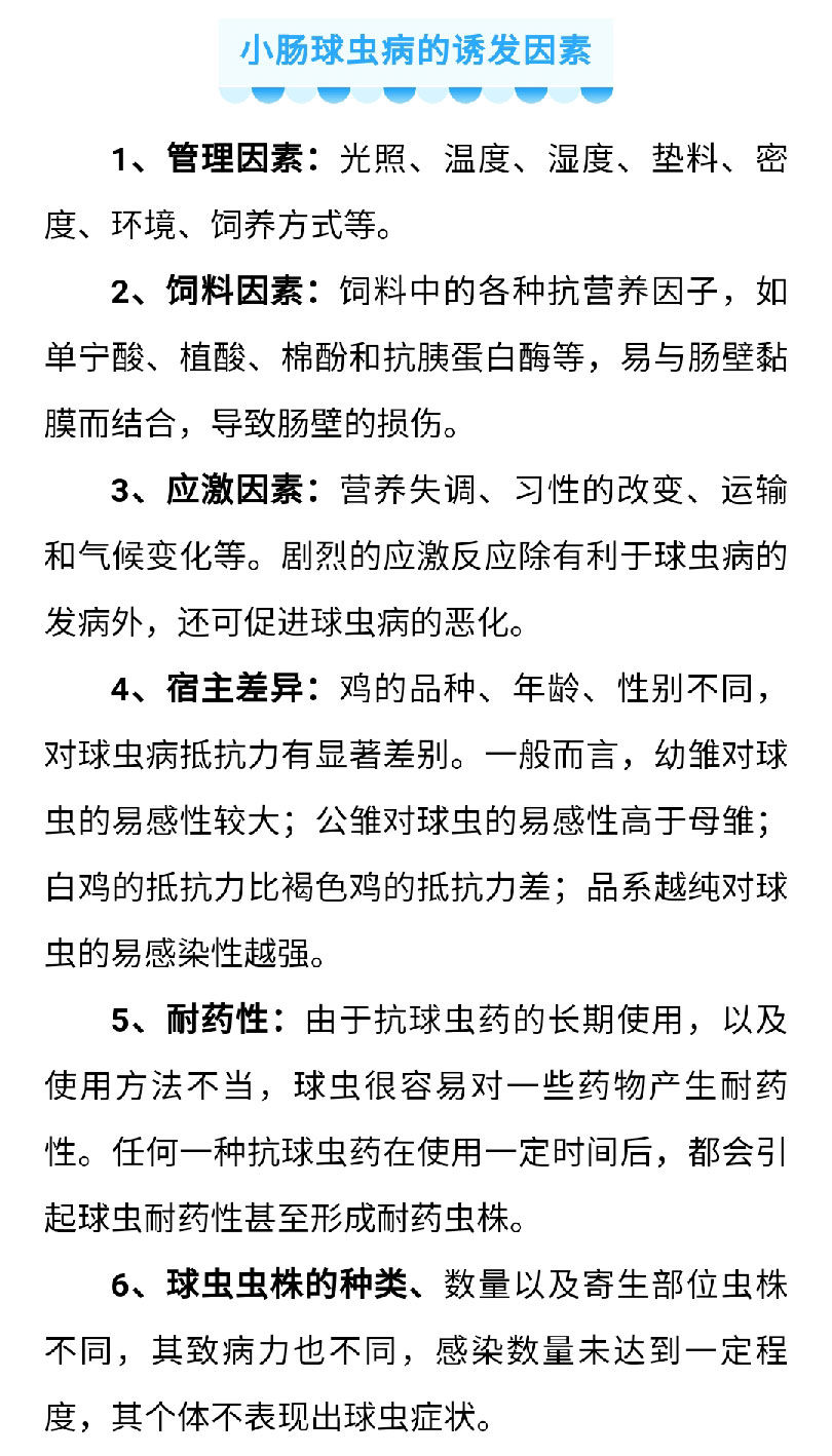 澳门十大电子游戏入口网站