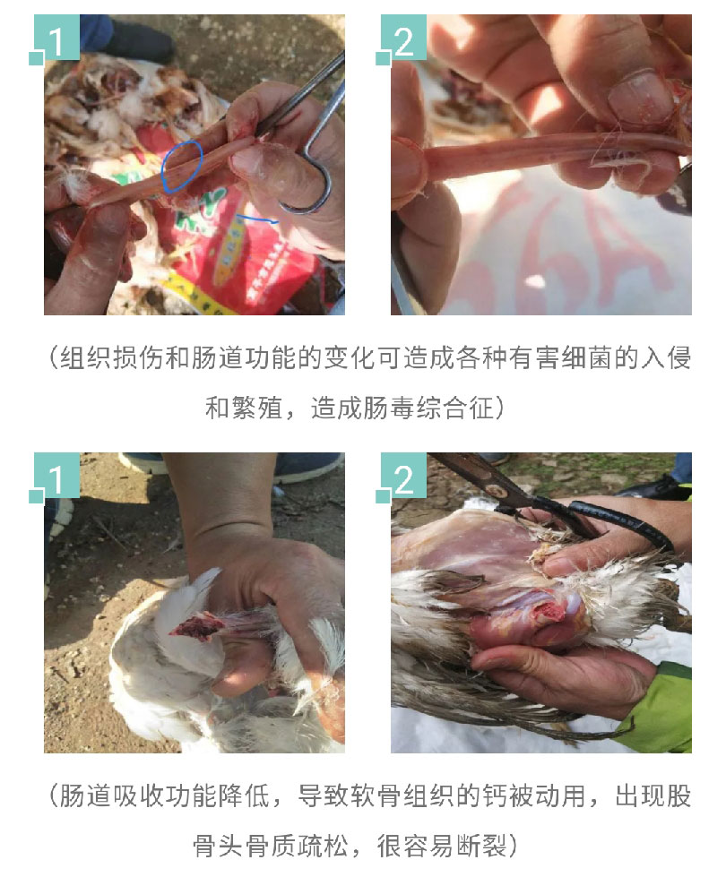 澳门十大电子游戏入口网站