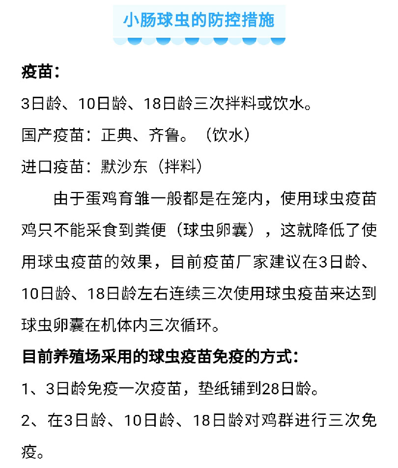 澳门十大电子游戏入口网站