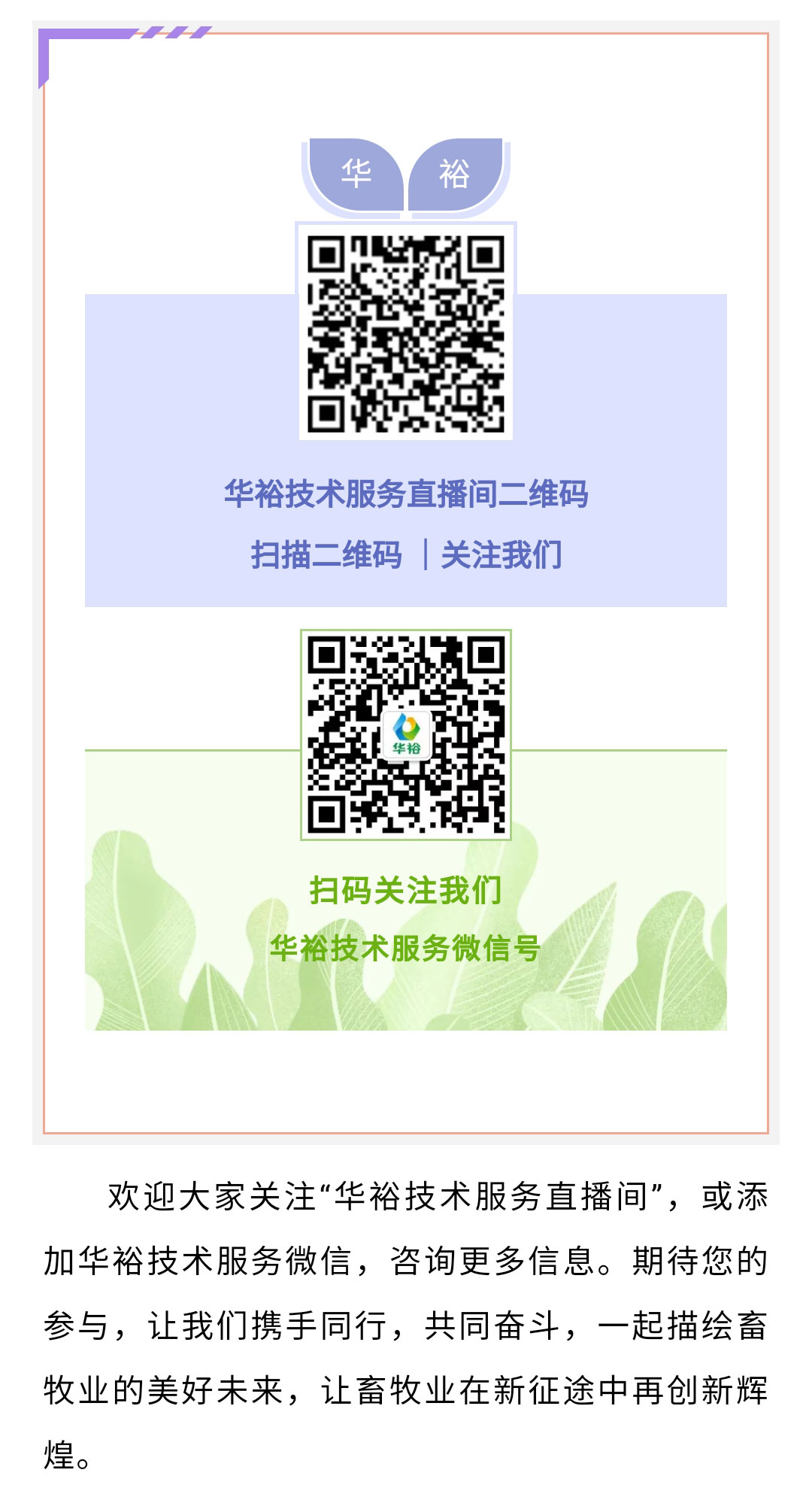 澳门十大电子游戏入口网站