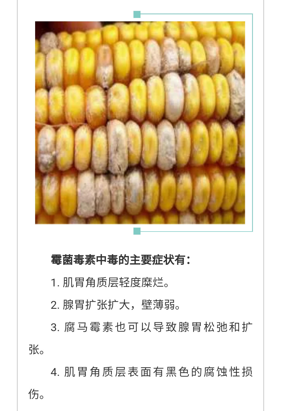 澳门十大电子游戏入口网站