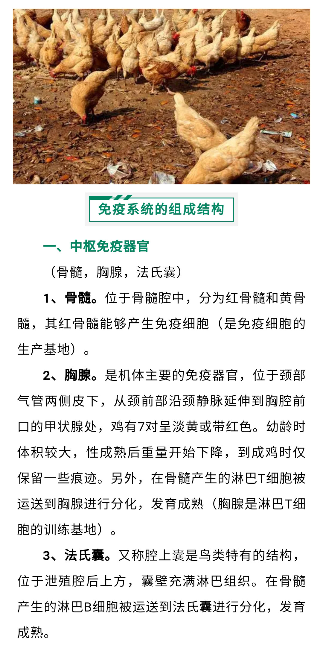 澳门十大电子游戏入口网站