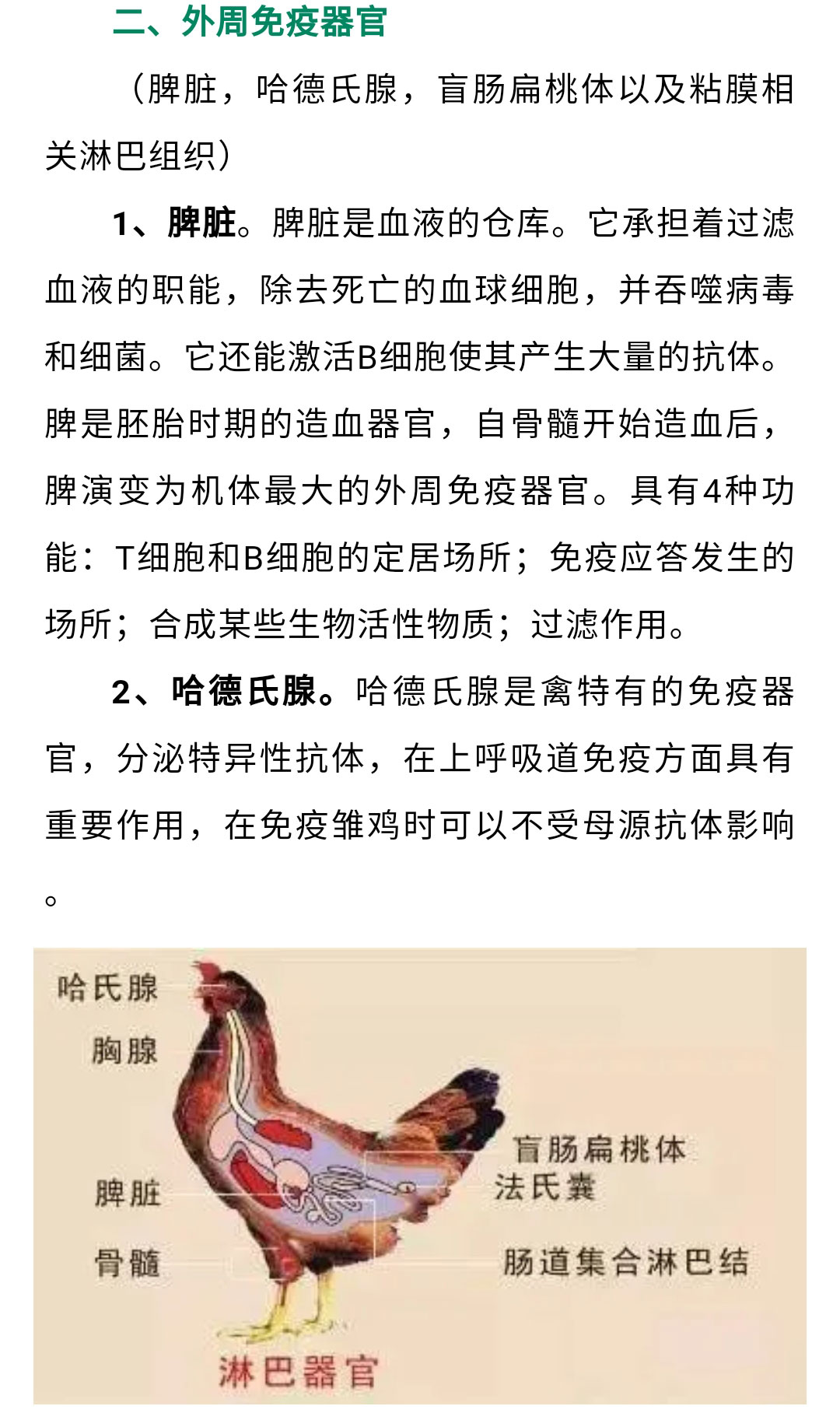 澳门十大电子游戏入口网站