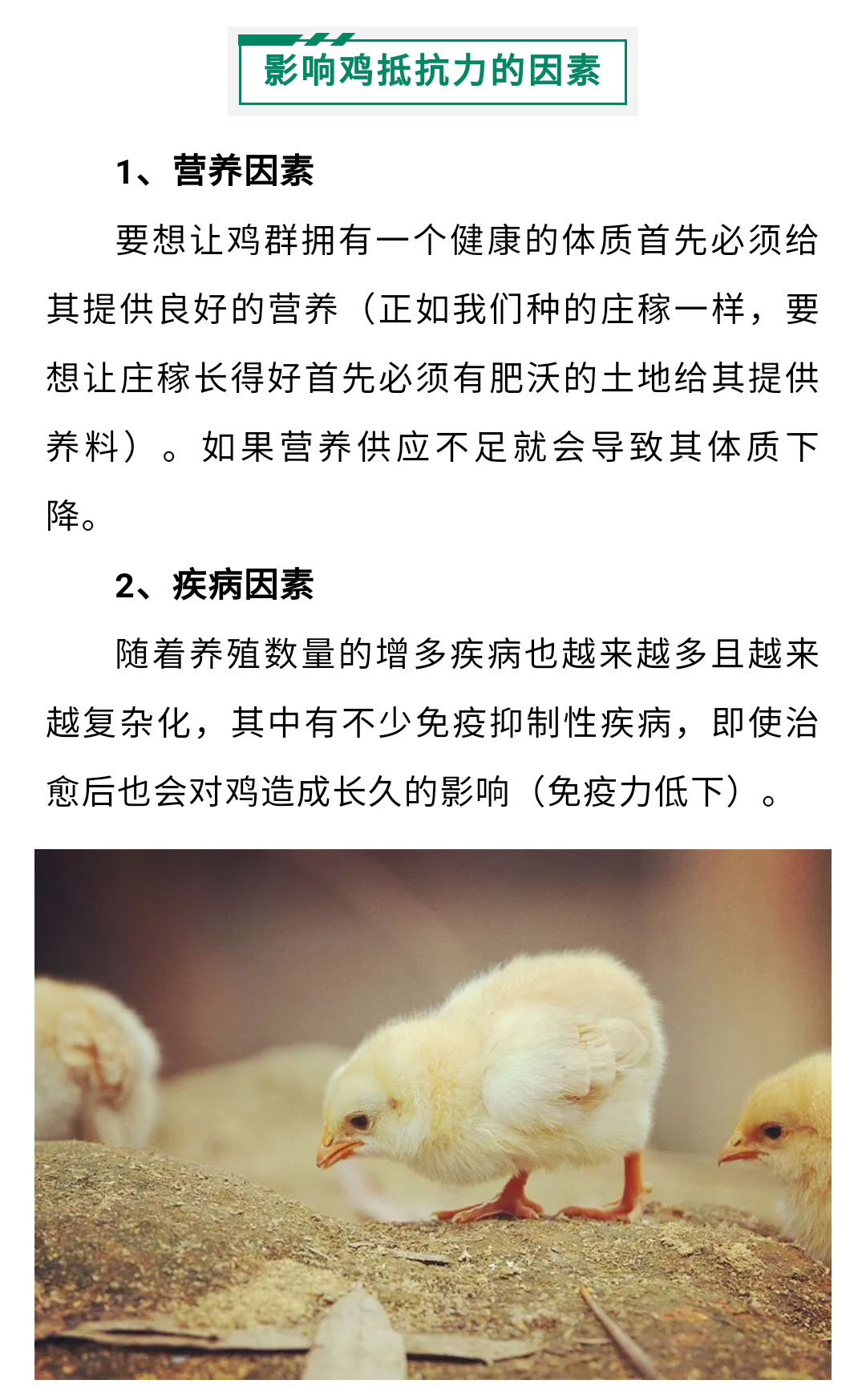 澳门十大电子游戏入口网站