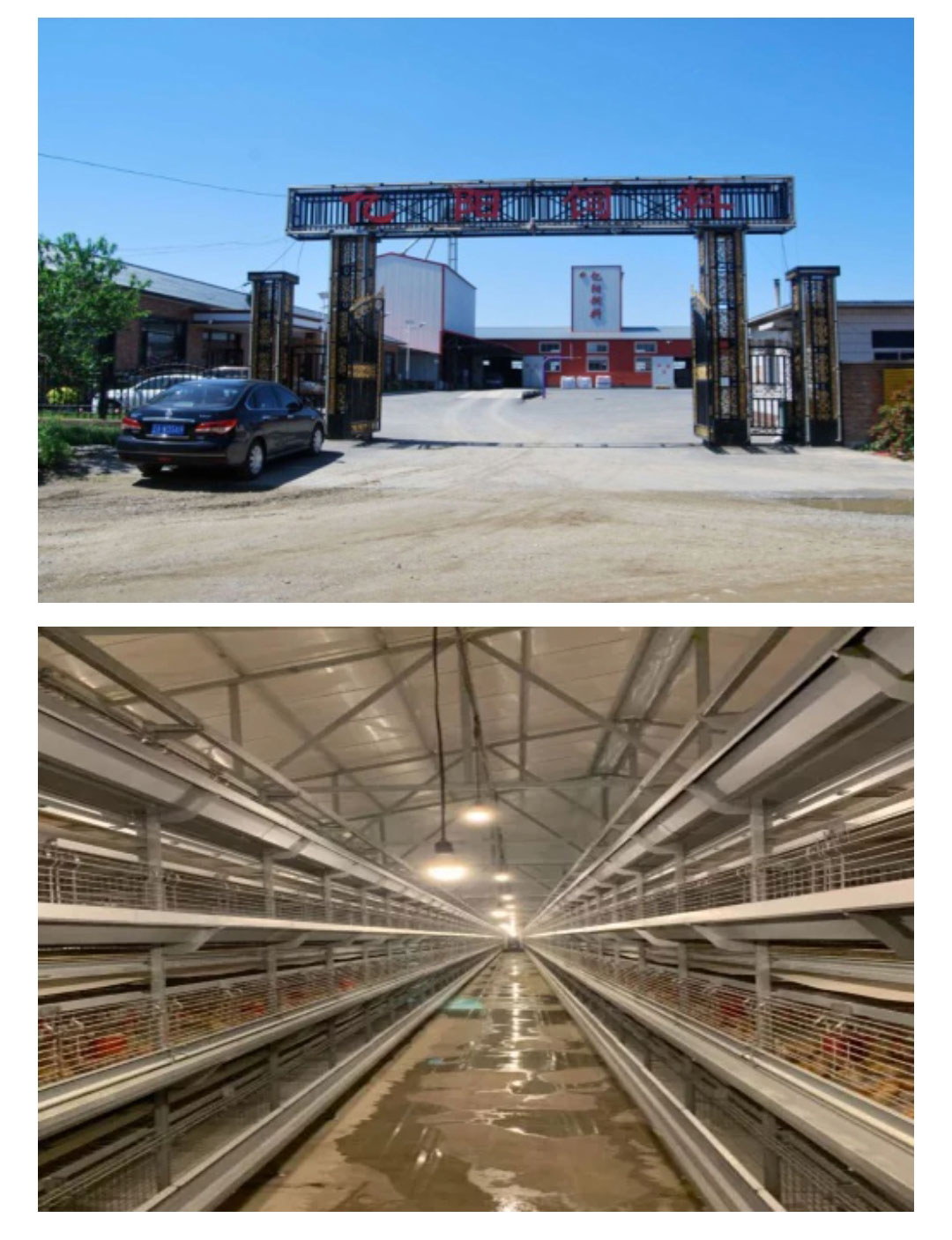 澳门十大电子游戏入口网站