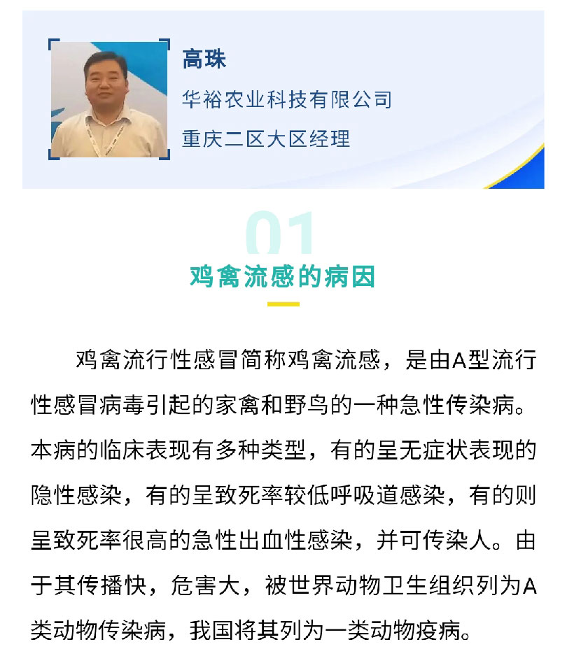 澳门十大电子游戏入口网站