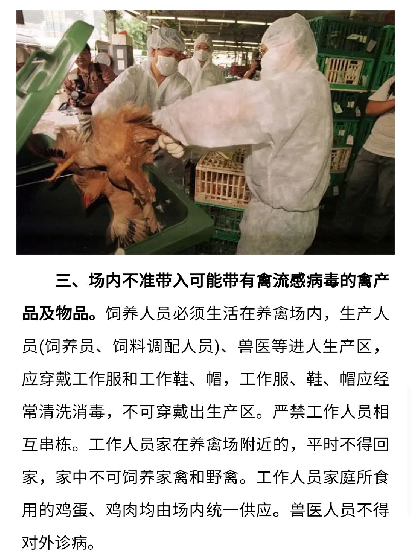 澳门十大电子游戏入口网站