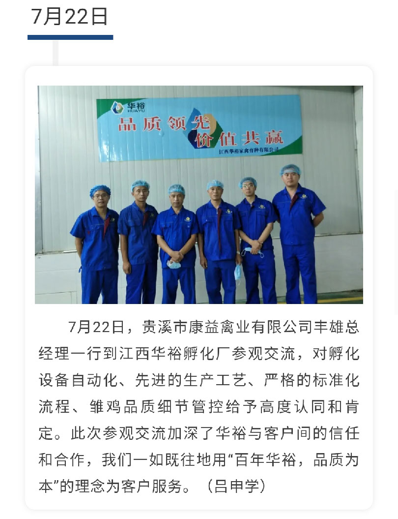 澳门十大电子游戏入口网站