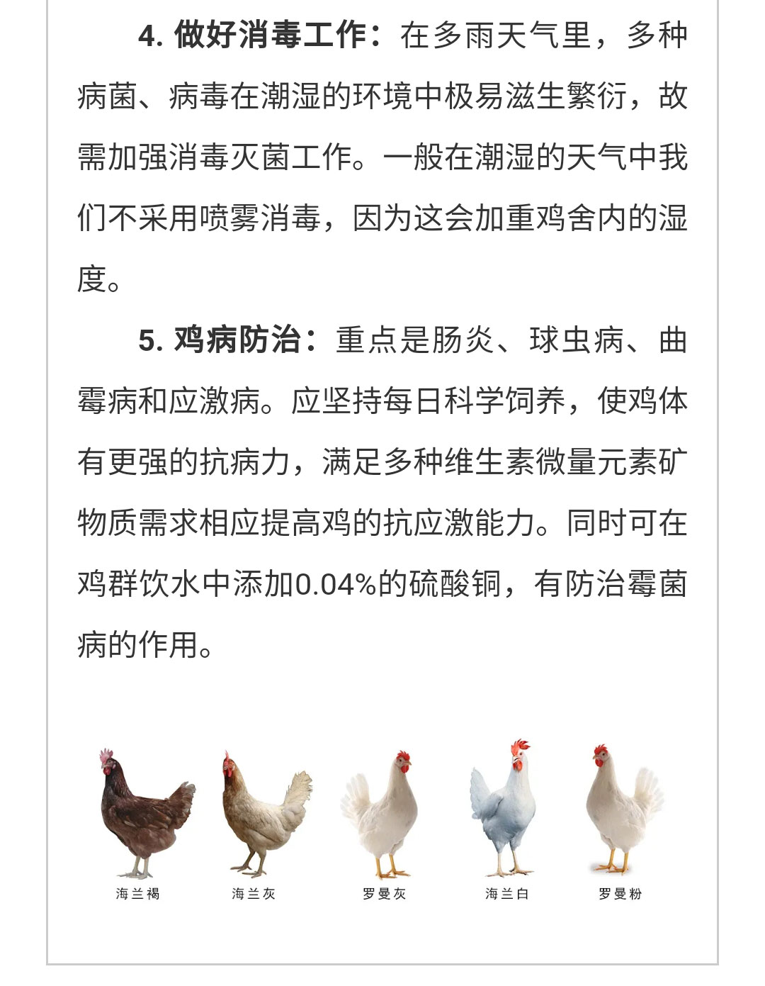 澳门十大电子游戏入口网站