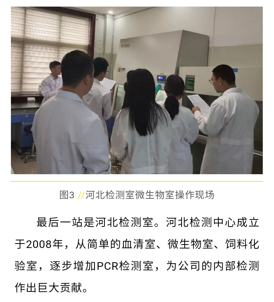 澳门十大电子游戏入口网站