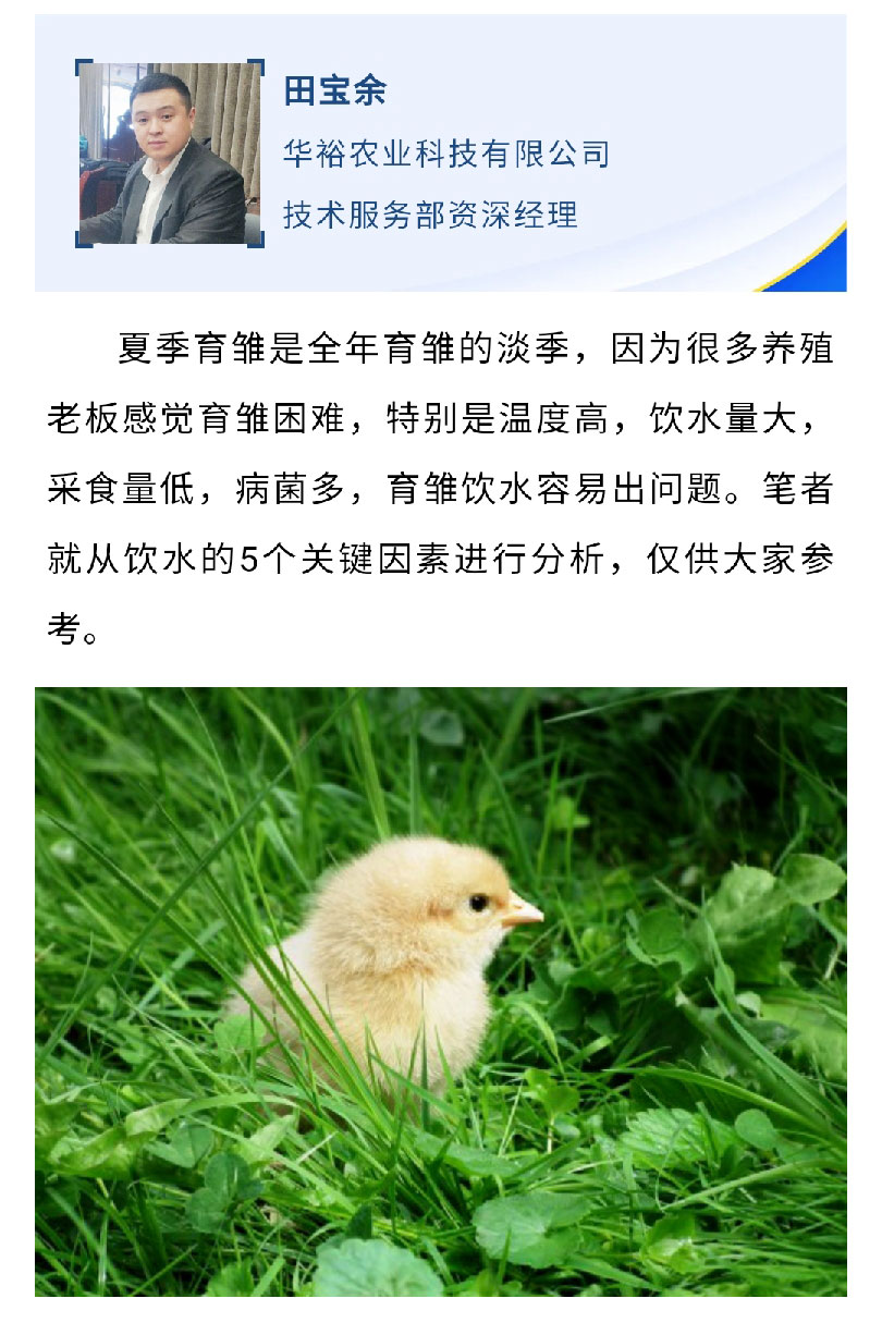 澳门十大电子游戏入口网站