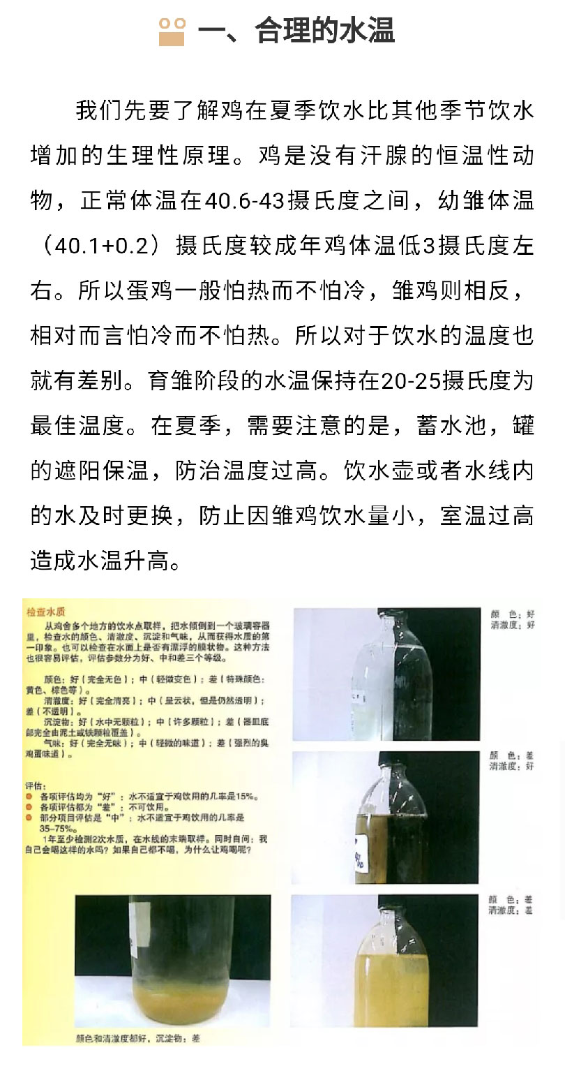 澳门十大电子游戏入口网站