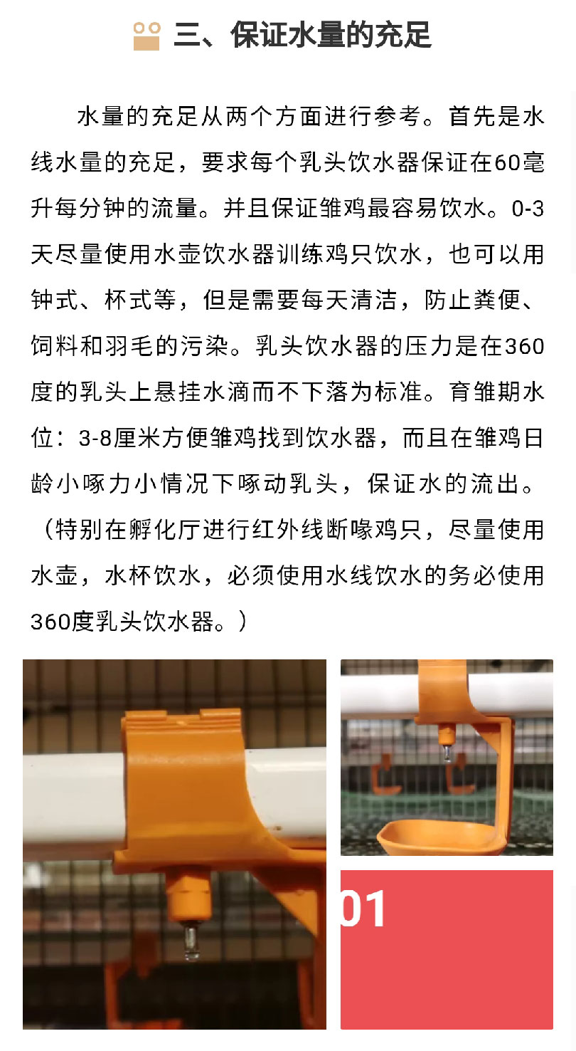 澳门十大电子游戏入口网站