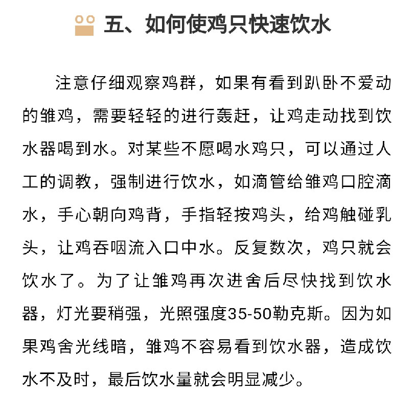 澳门十大电子游戏入口网站