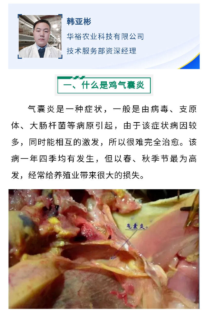 澳门十大电子游戏入口网站