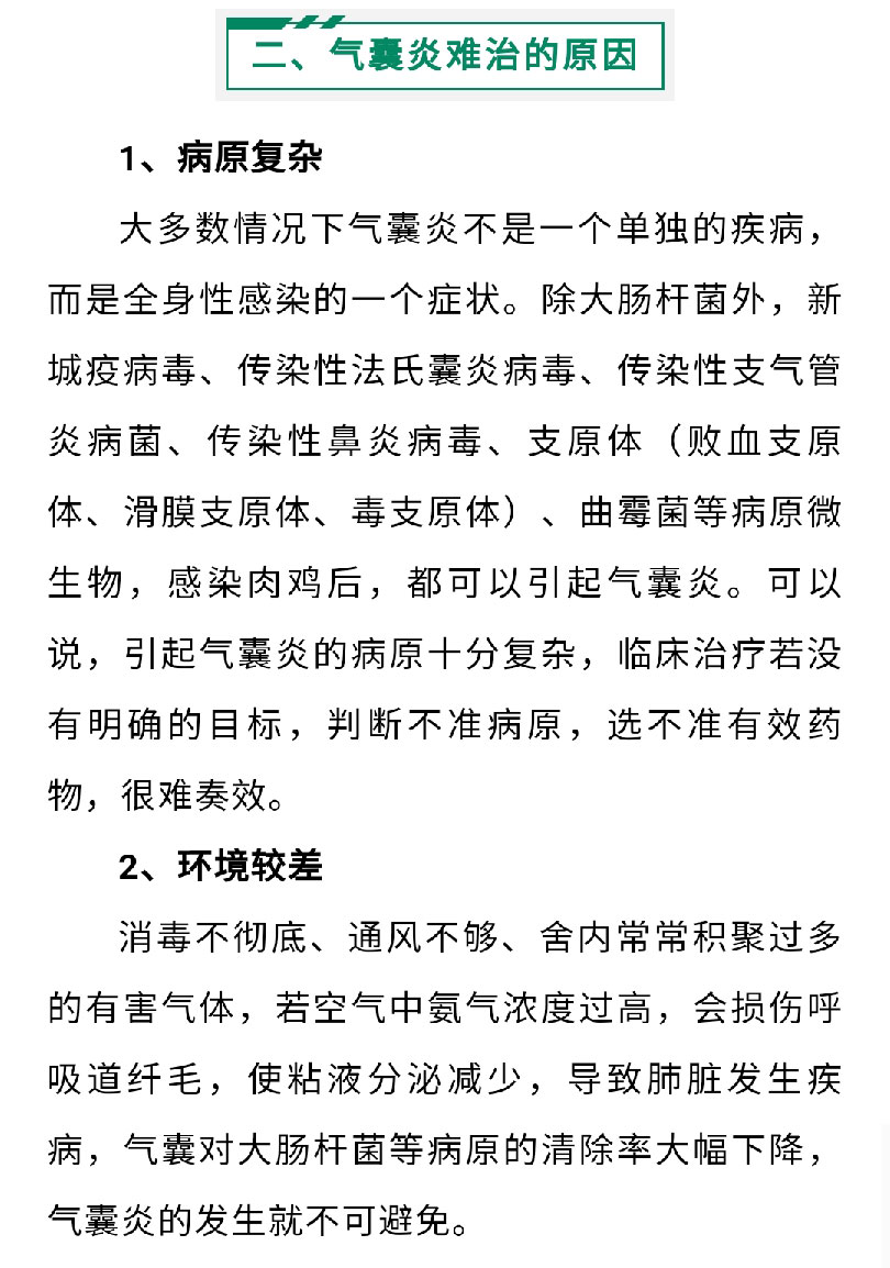澳门十大电子游戏入口网站
