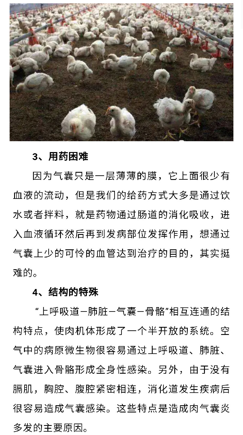 澳门十大电子游戏入口网站