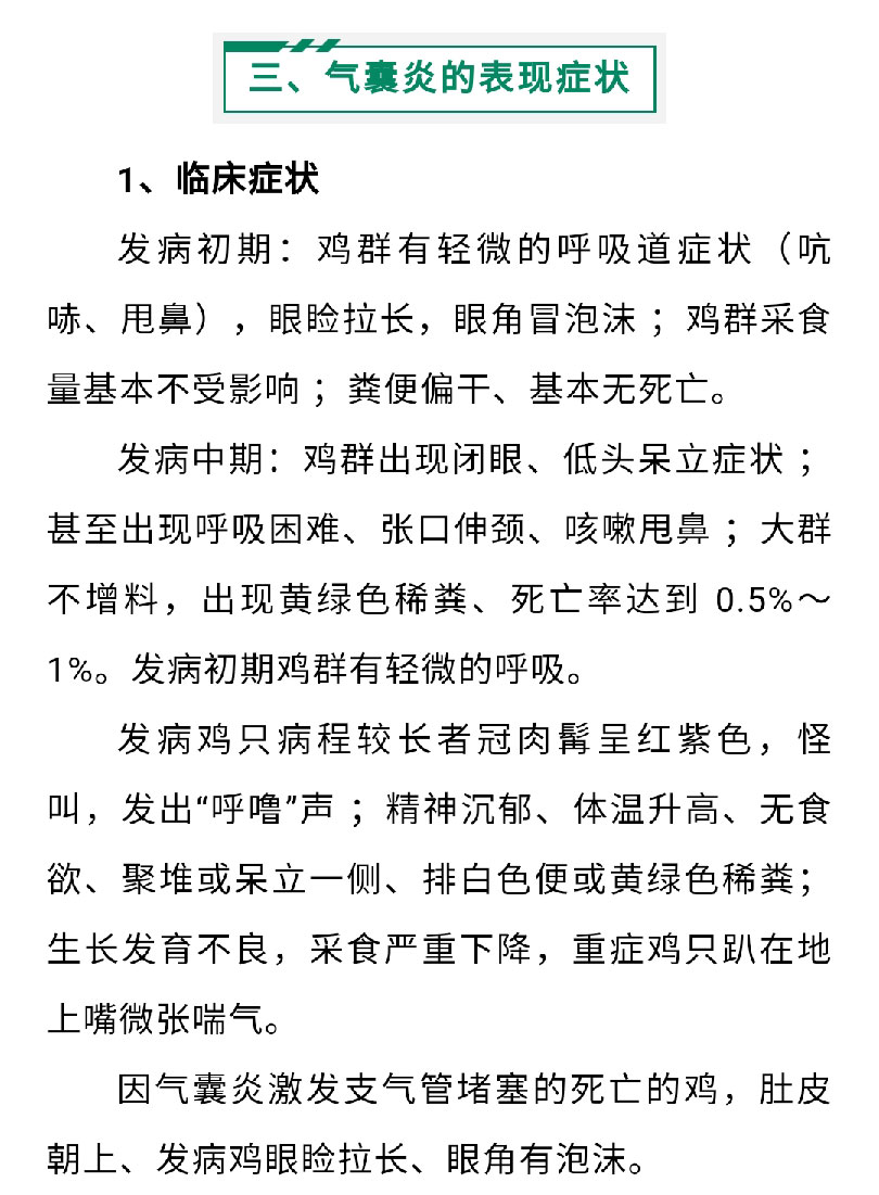 澳门十大电子游戏入口网站