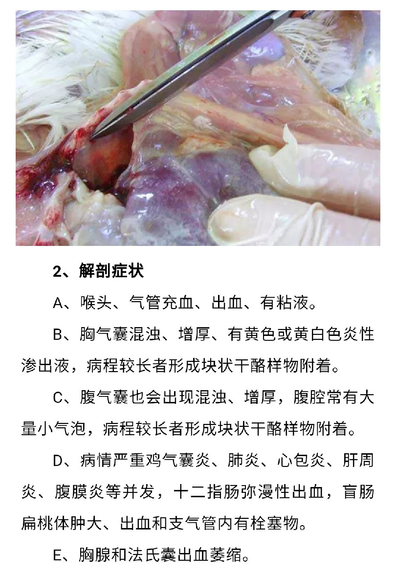 澳门十大电子游戏入口网站