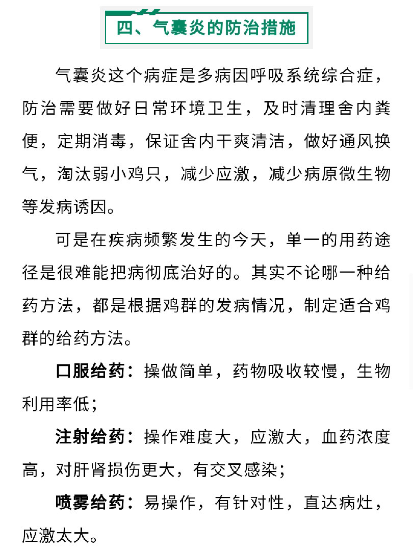 澳门十大电子游戏入口网站