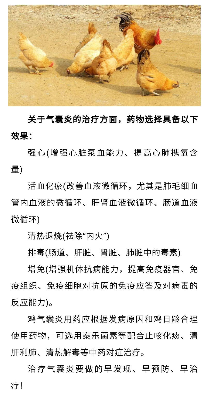 澳门十大电子游戏入口网站