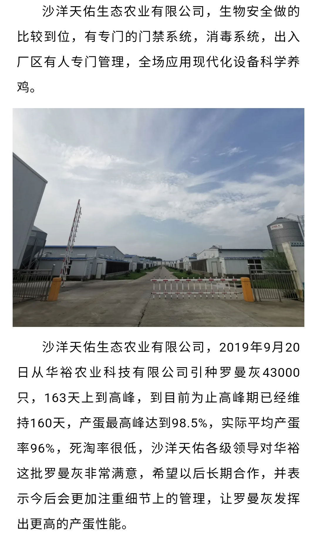 澳门十大电子游戏入口网站