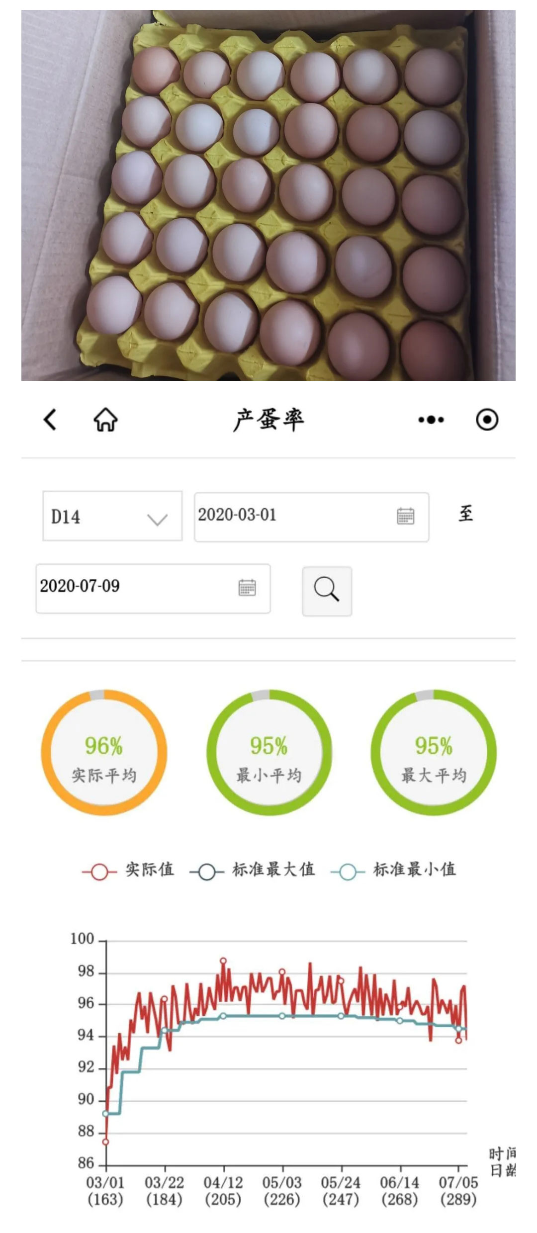 澳门十大电子游戏入口网站