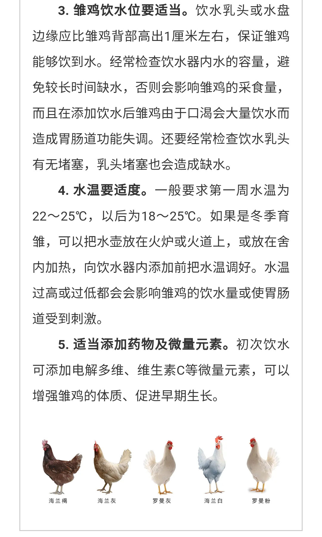 澳门十大电子游戏入口网站