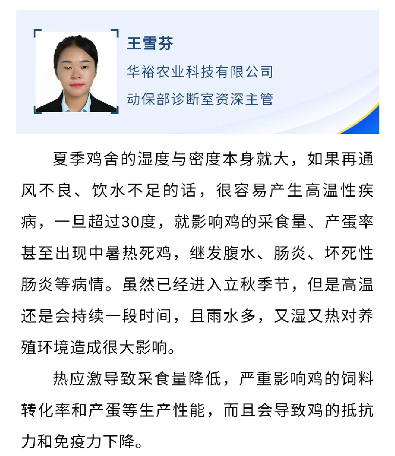 澳门十大电子游戏入口网站