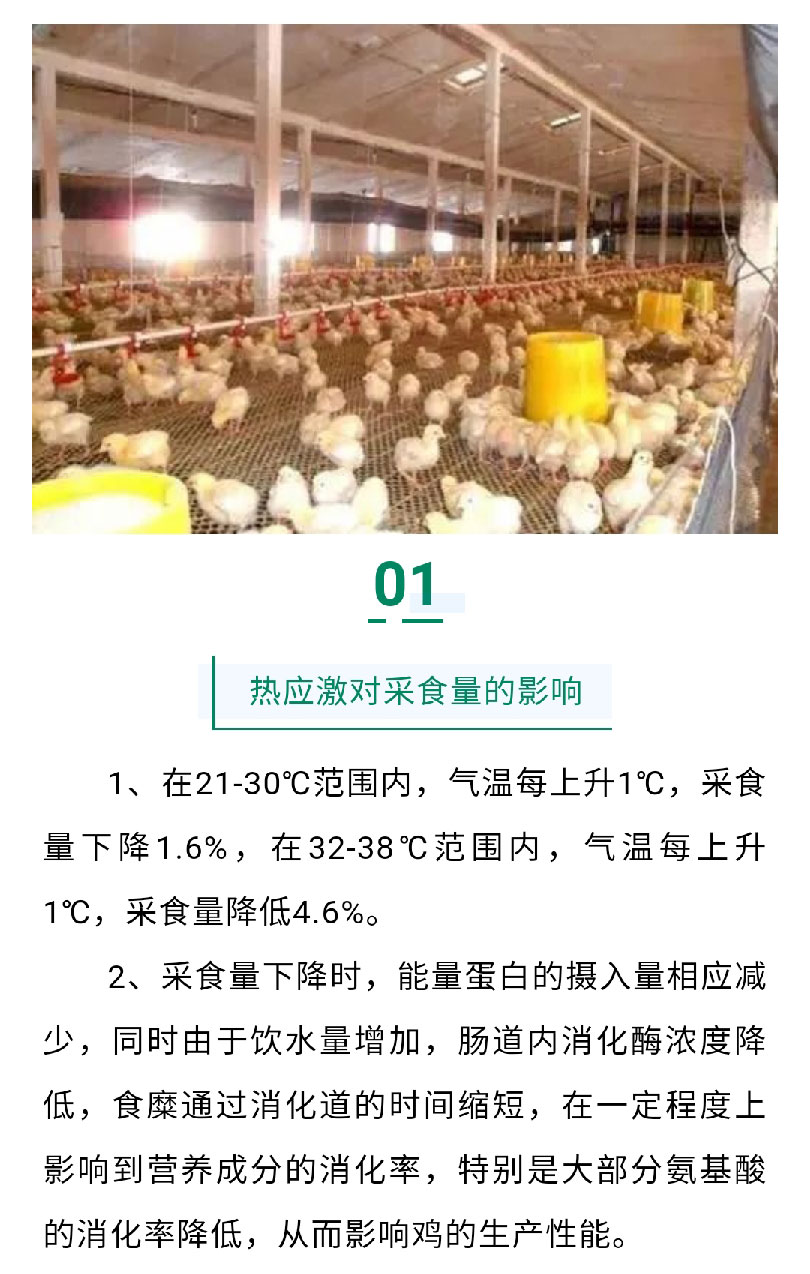 澳门十大电子游戏入口网站