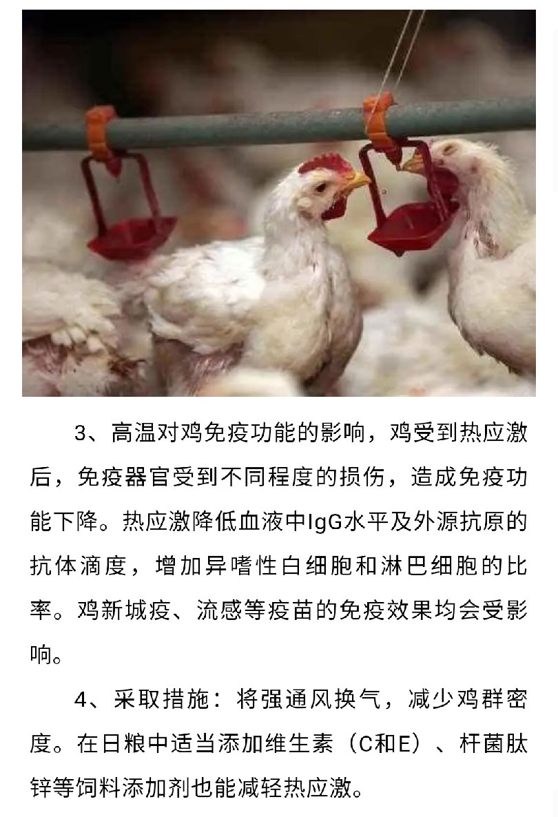 澳门十大电子游戏入口网站