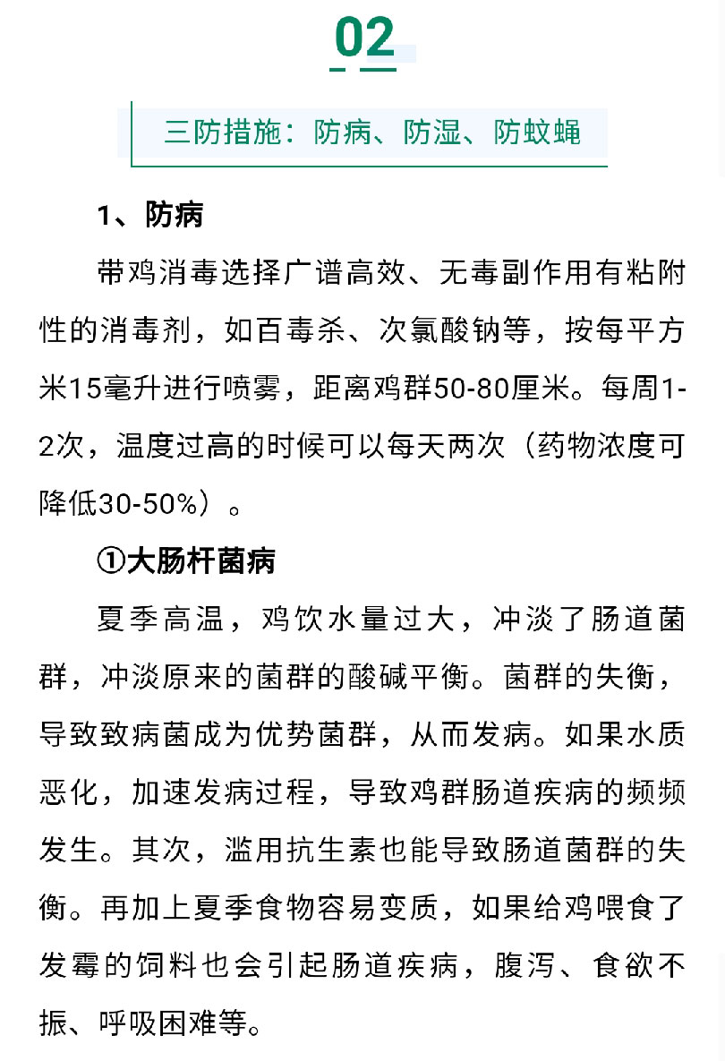 澳门十大电子游戏入口网站
