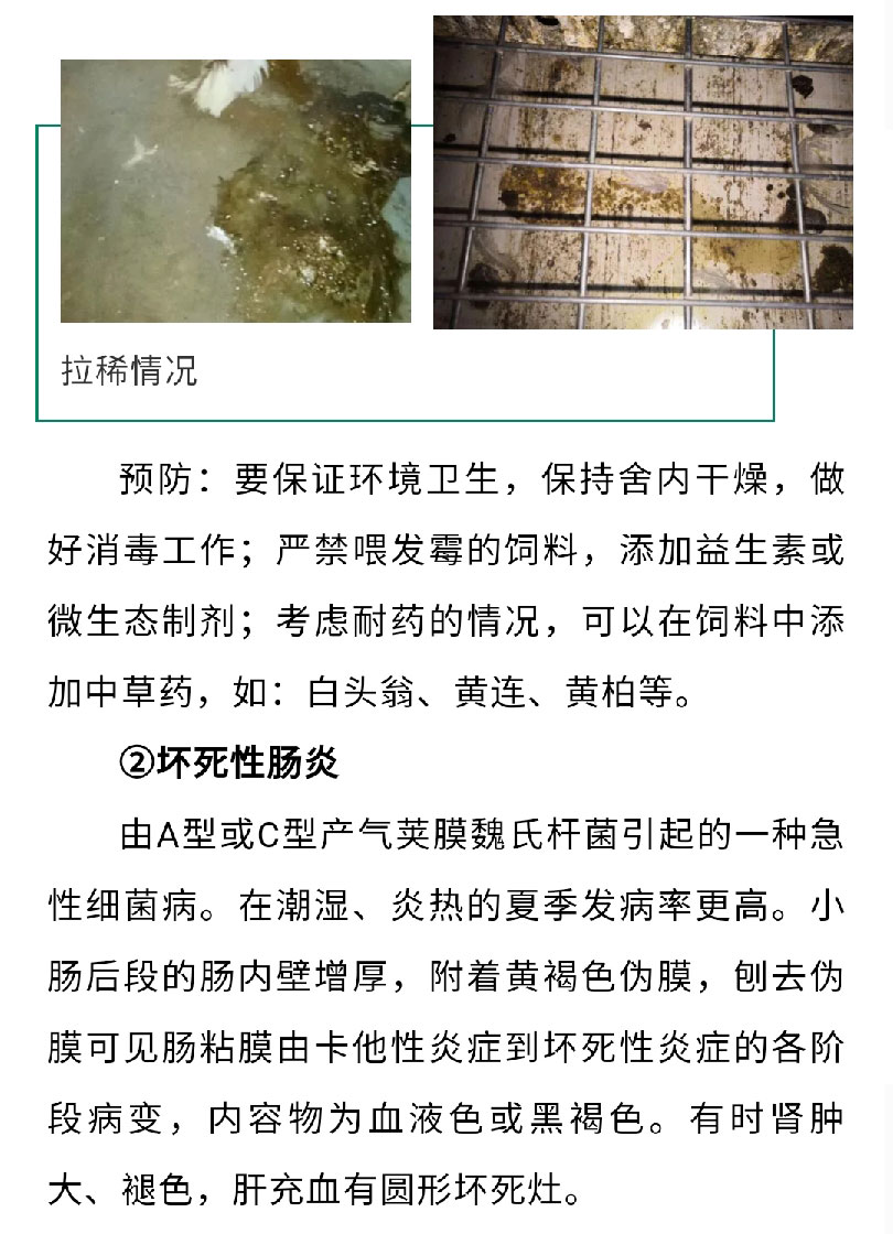澳门十大电子游戏入口网站