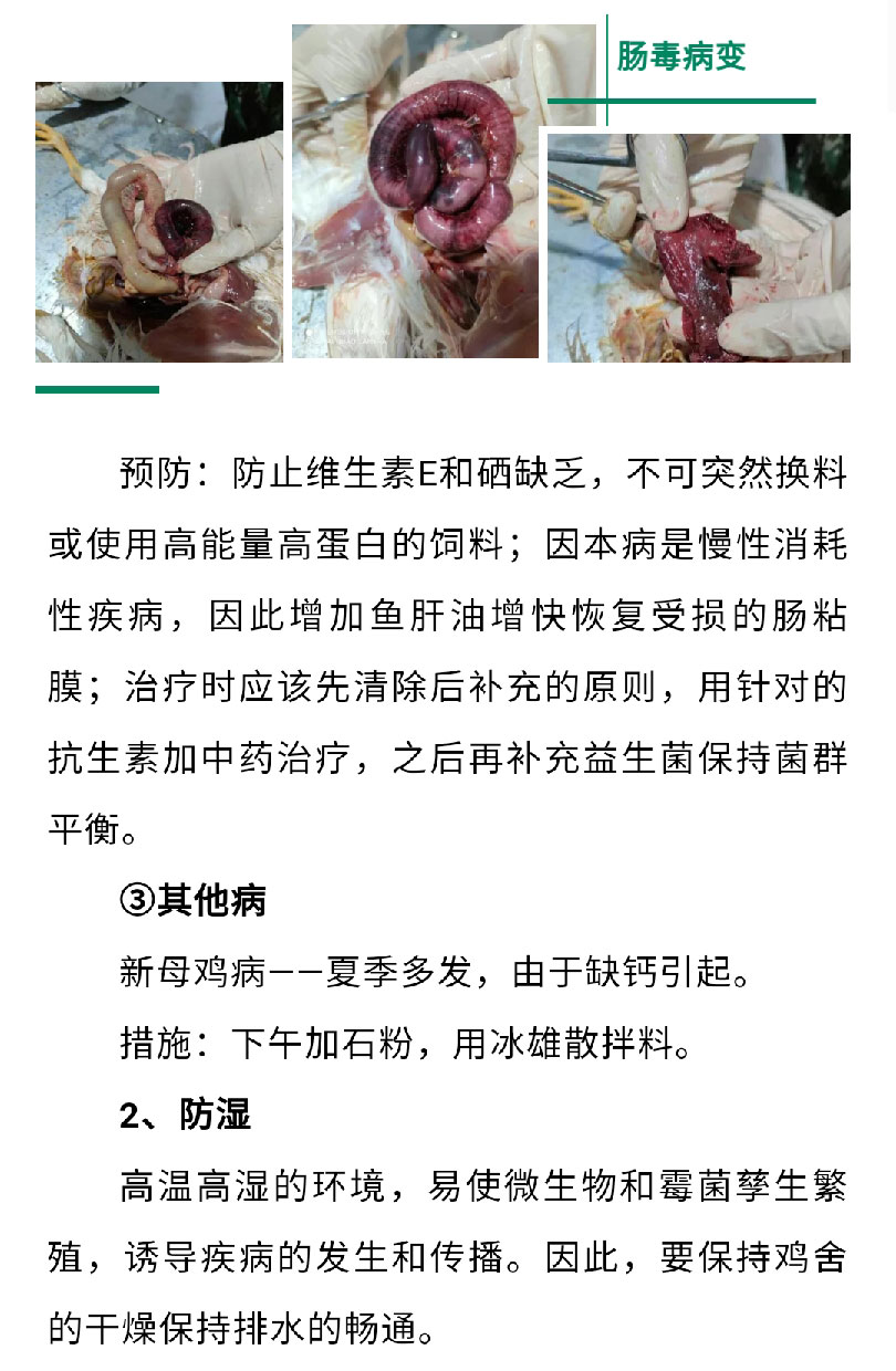 澳门十大电子游戏入口网站