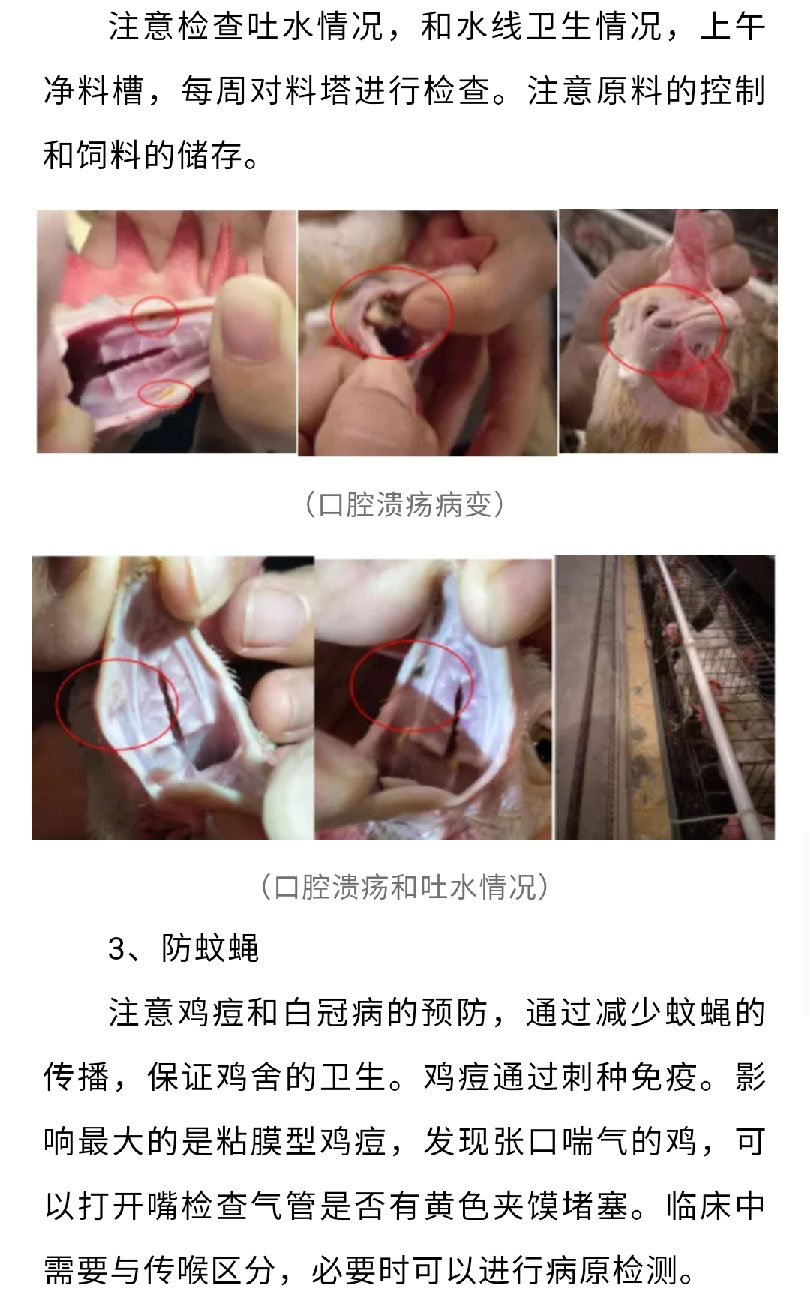 澳门十大电子游戏入口网站