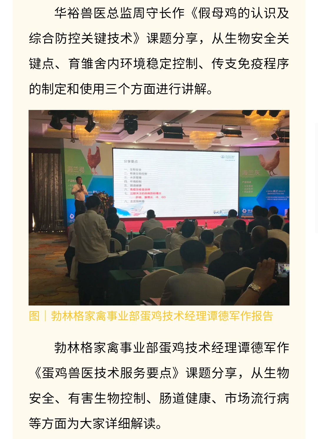 澳门十大电子游戏入口网站