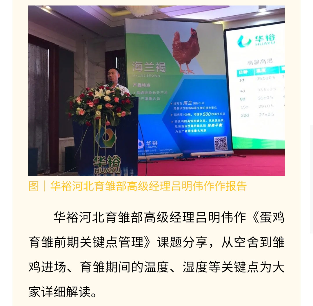 澳门十大电子游戏入口网站