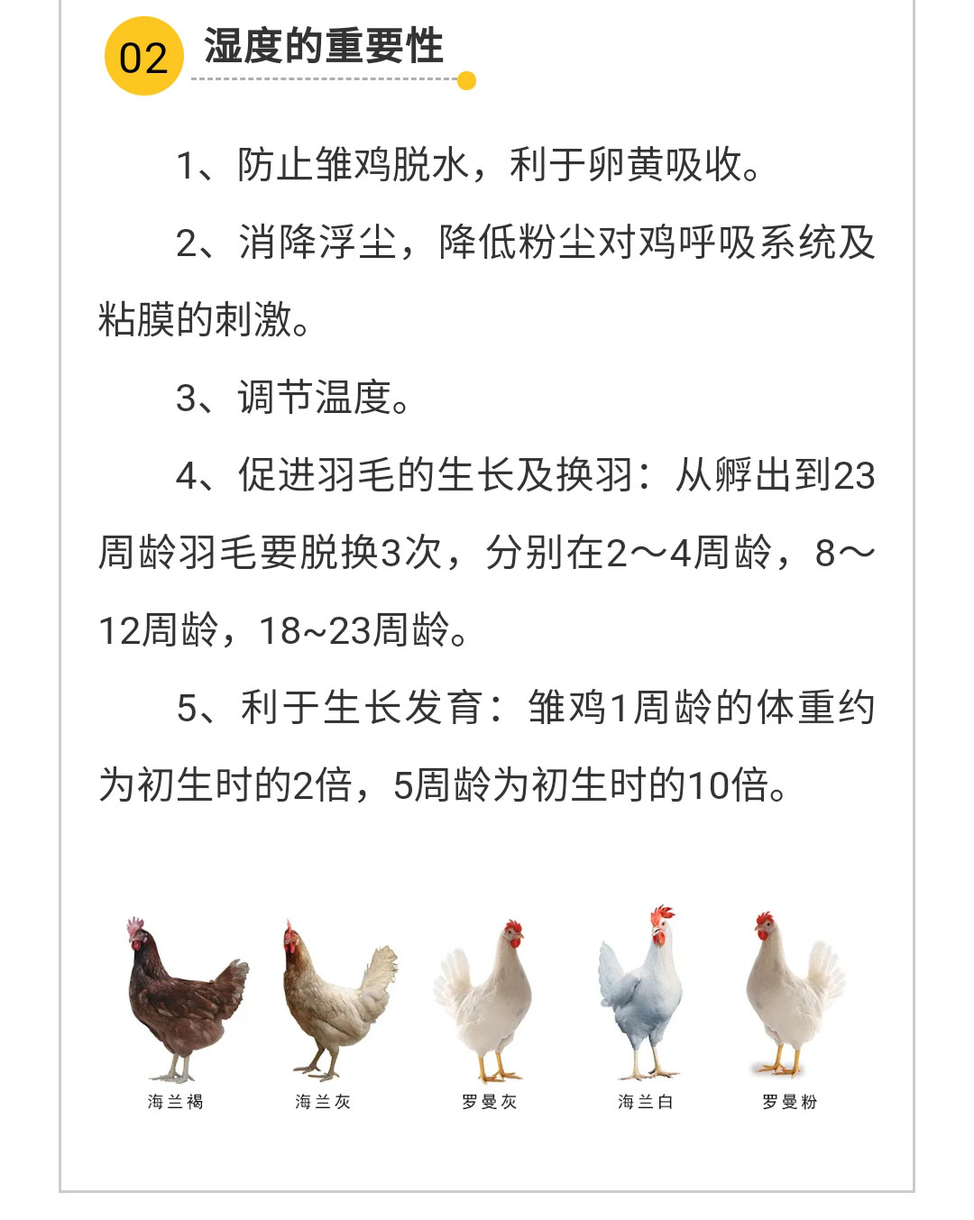 澳门十大电子游戏入口网站