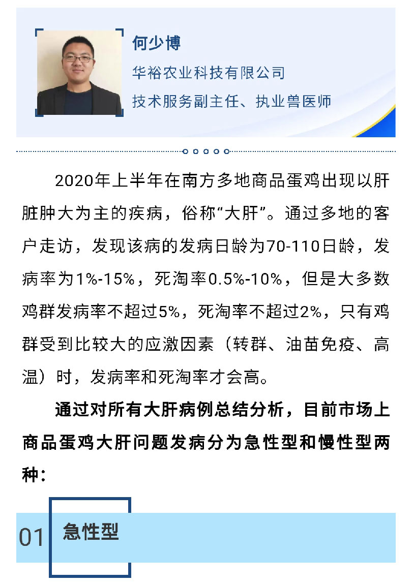 澳门十大电子游戏入口网站