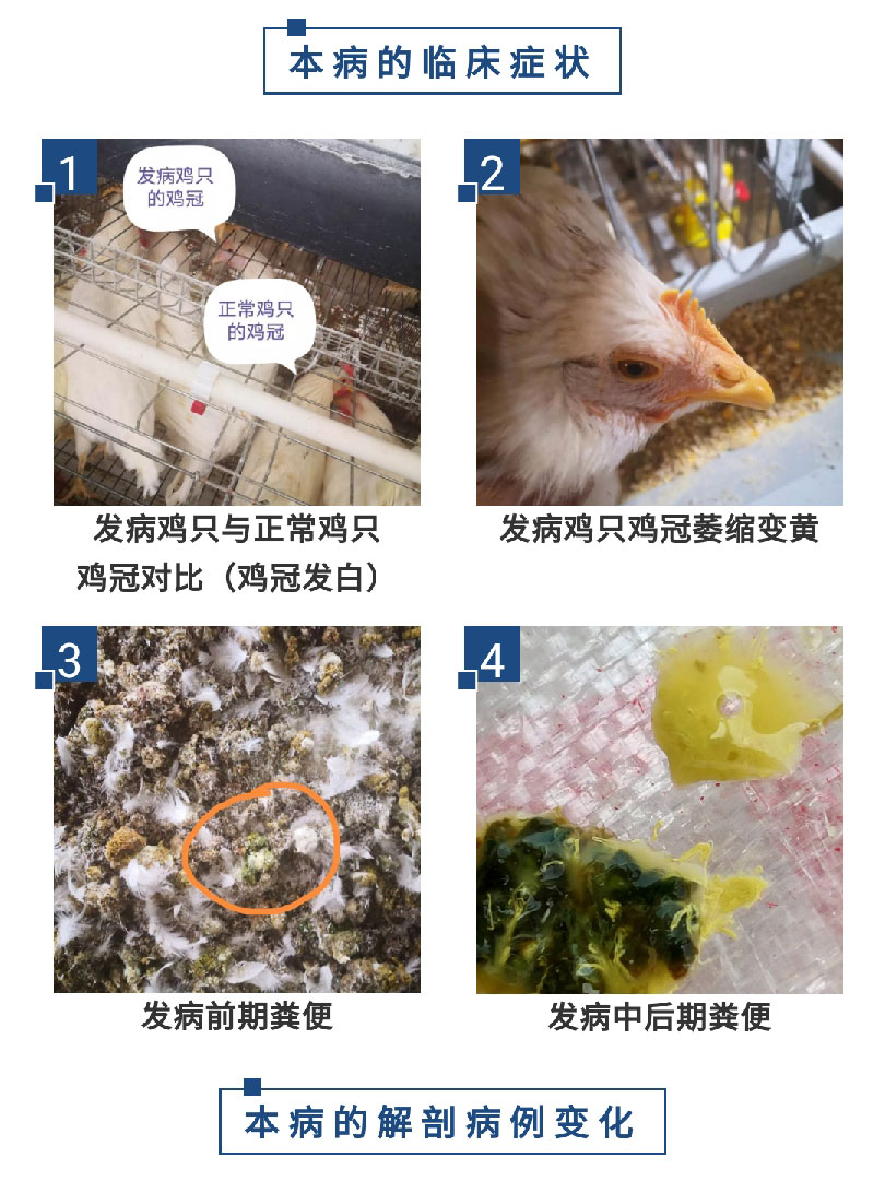 澳门十大电子游戏入口网站