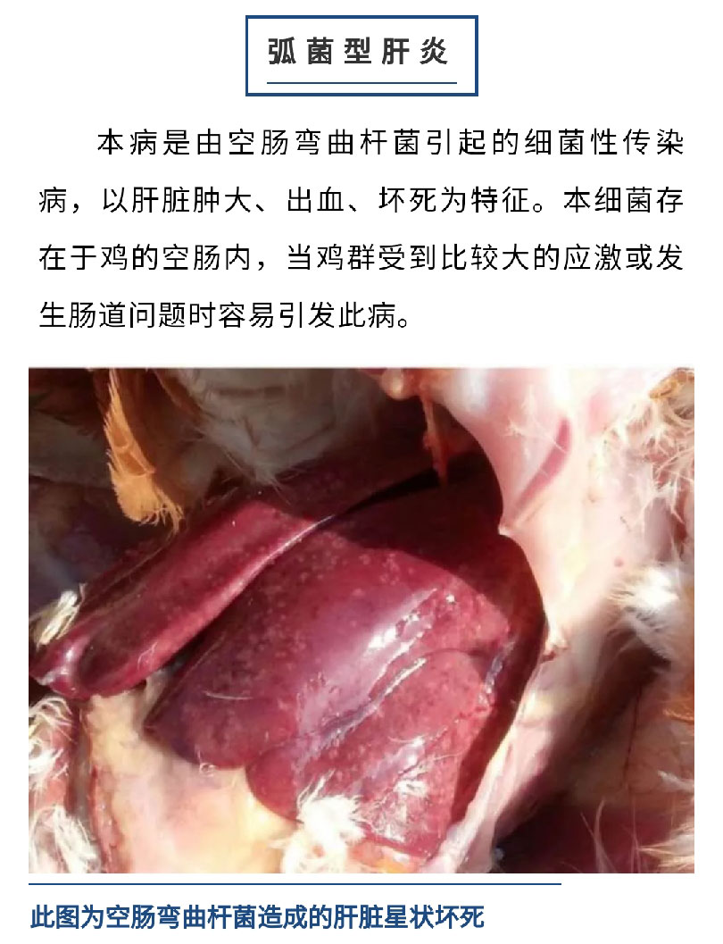 澳门十大电子游戏入口网站