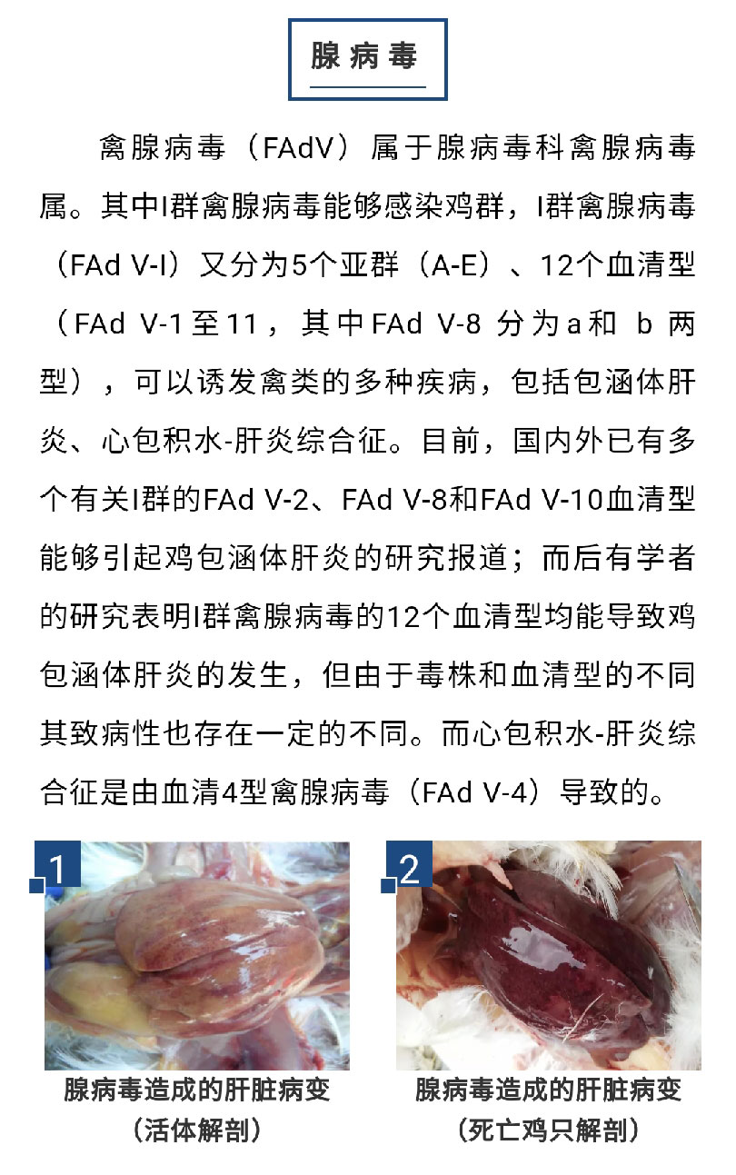 澳门十大电子游戏入口网站