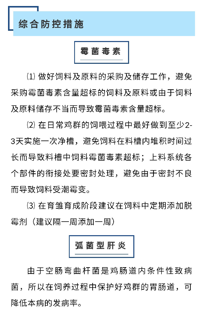 澳门十大电子游戏入口网站