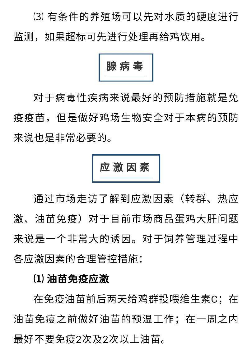澳门十大电子游戏入口网站