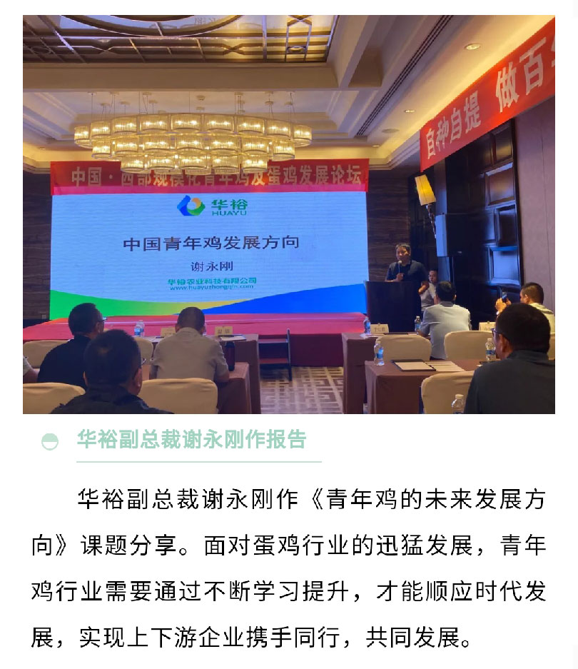 澳门十大电子游戏入口网站