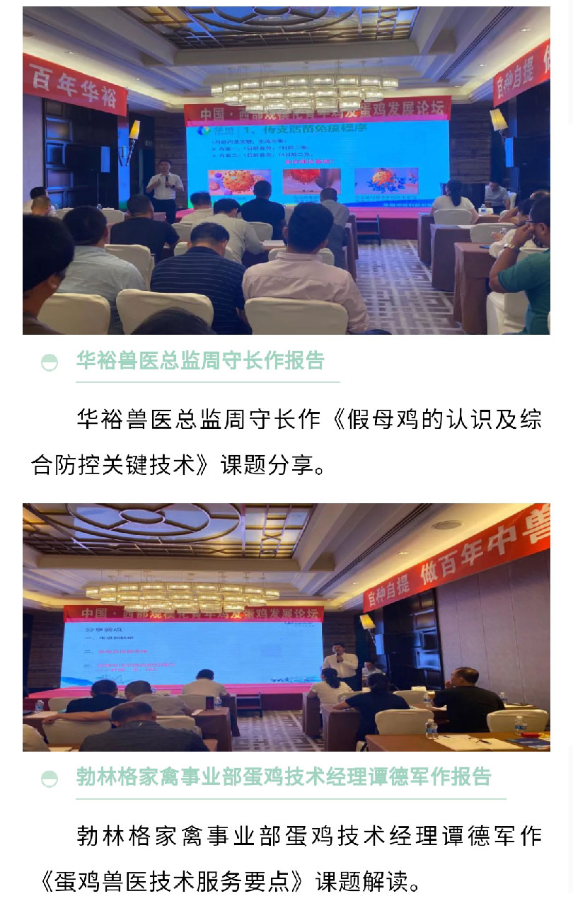 澳门十大电子游戏入口网站