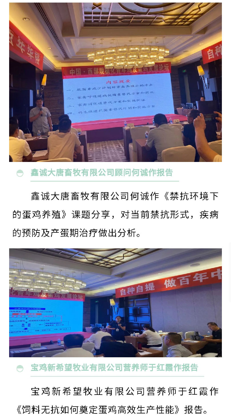 澳门十大电子游戏入口网站